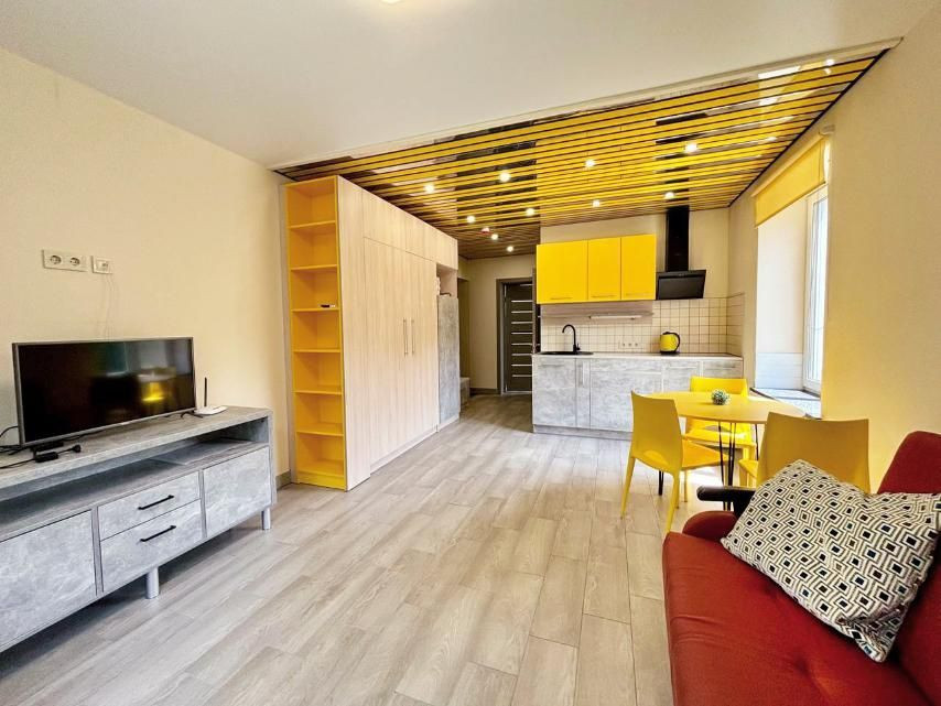 Сдам просторную 1 комнатную квартиру Гагарина, Центр,Нагорка Дніпро - зображення 5