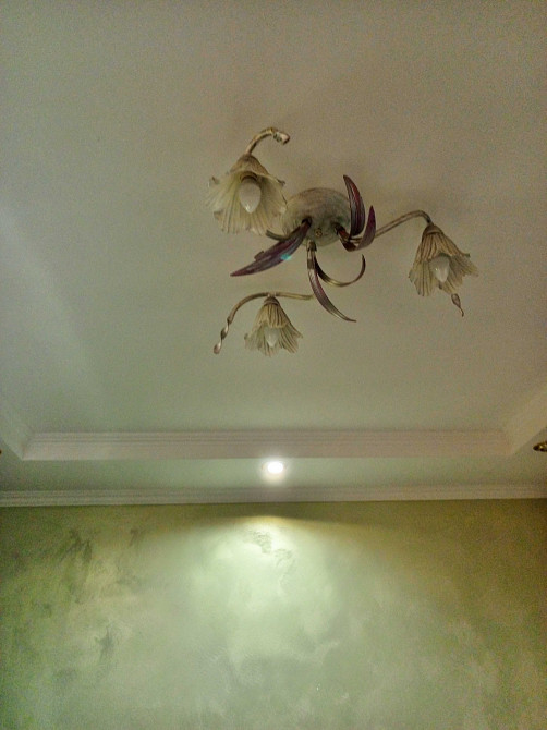 Масани. Власник.  Квартира однокімнатна. Чернігів - зображення 5