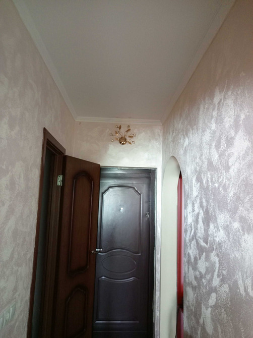 Масани. Власник.  Квартира однокімнатна. Чернігів - зображення 4