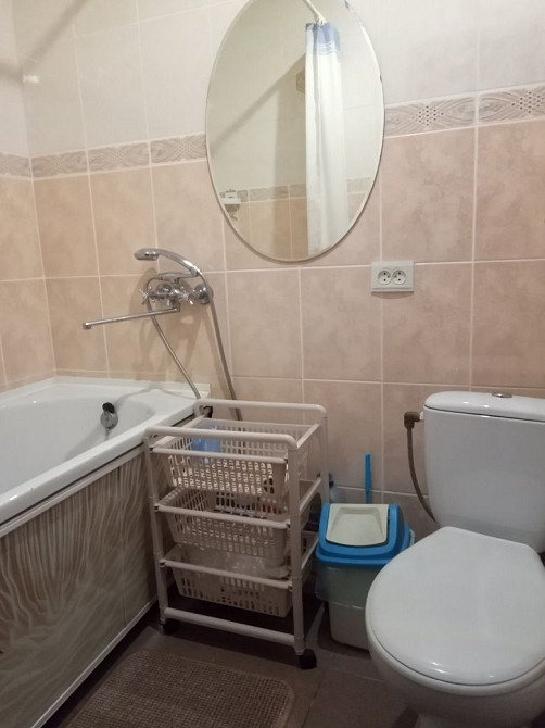 Аренда 1-комн квартиры Опытный(Тополь-3) Дослідне - зображення 6