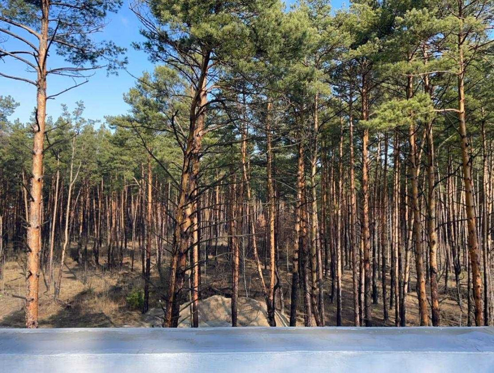 Чудова квартира 22,8 м² в Биковні, екологічний район Акційна ціна! Киев - изображение 3