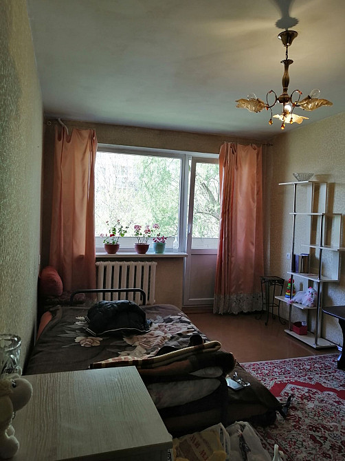 Здам 1но кімнатну квартиру. Центр, вул. К.Острозьких Житомир - изображение 1