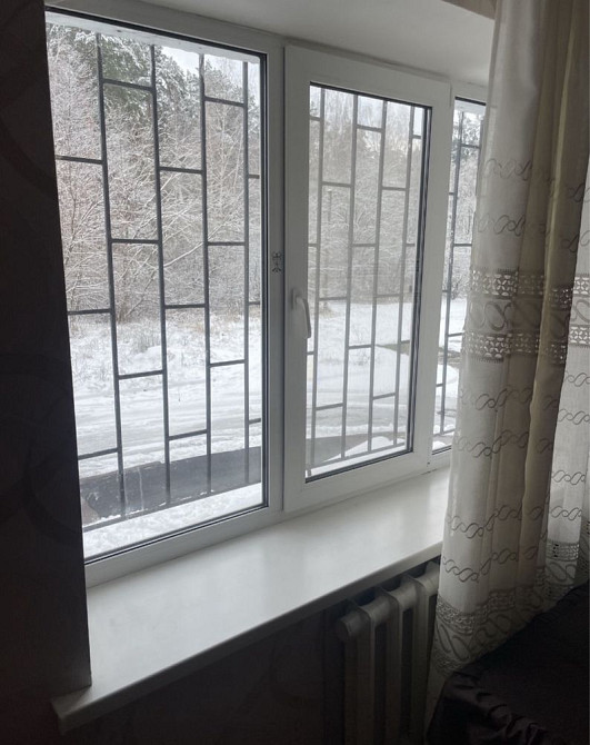 1к Богунія На місяць чи тиждень 1-3 людини можна з тваринами Житомир - изображение 7