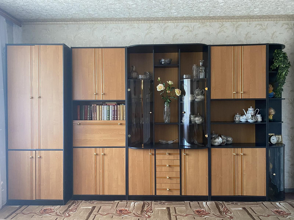 Сдам 1-комнатную квартиру Каменское (Запорожская обл.) - изображение 4