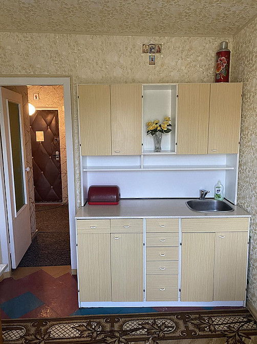 Сдам 1-комнатную квартиру Каменское (Запорожская обл.) - изображение 8