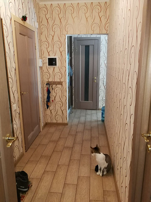 Здам 2к квартиру м.Васильківська Kyiv - photo 4