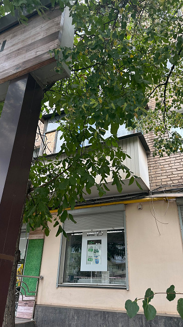 Продам квартиру на 173кв (2х) Кривой Рог - изображение 3