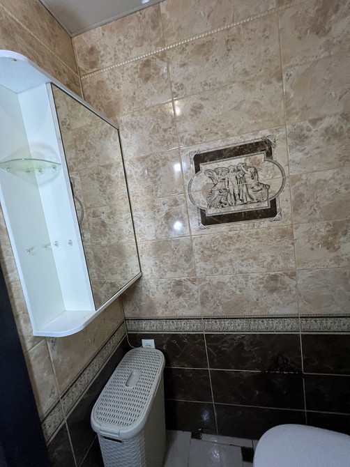 Двокімнатна квартира (просторна) Кривий Ріг - зображення 5