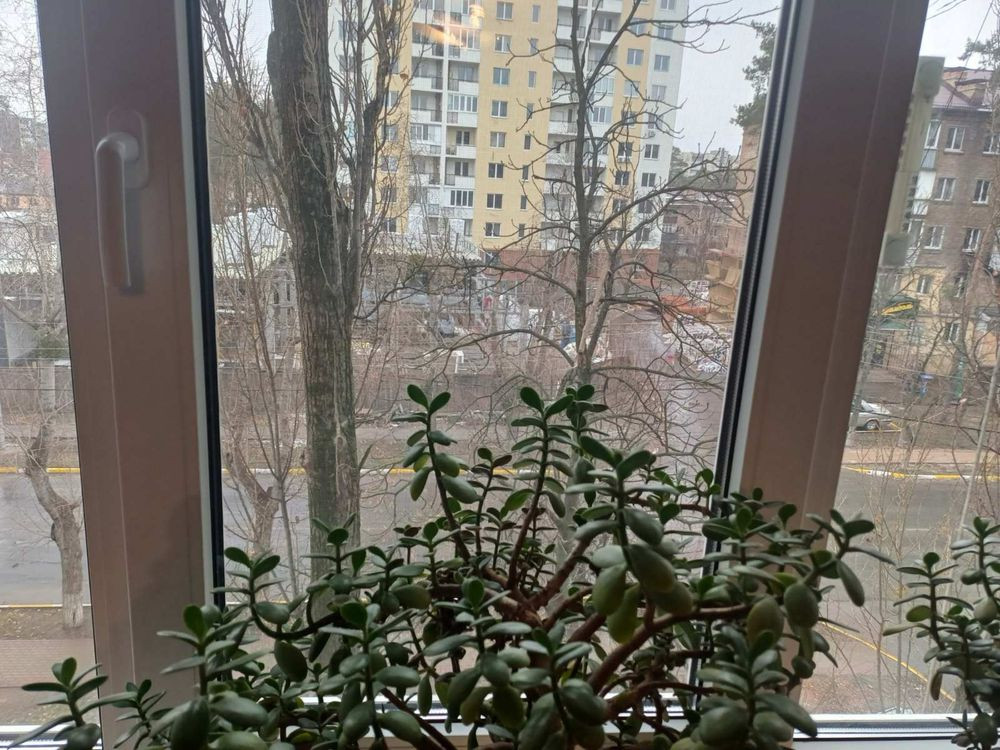 Супер ціна! Квартира з ремонт в Ірпені Ирпень - изображение 3