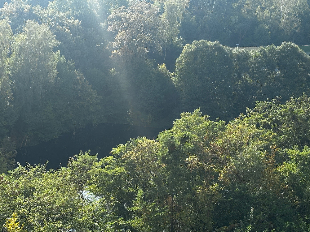 Без комісії. Продам 1-кімнтану (Смарт). ЖК Медовий. Кадетський Гай 10 Киев - изображение 3