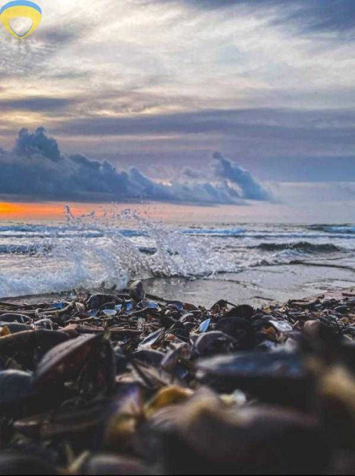 Цена снизилась!!! 3х квартира на пр. Добровольского Одесса - изображение 1