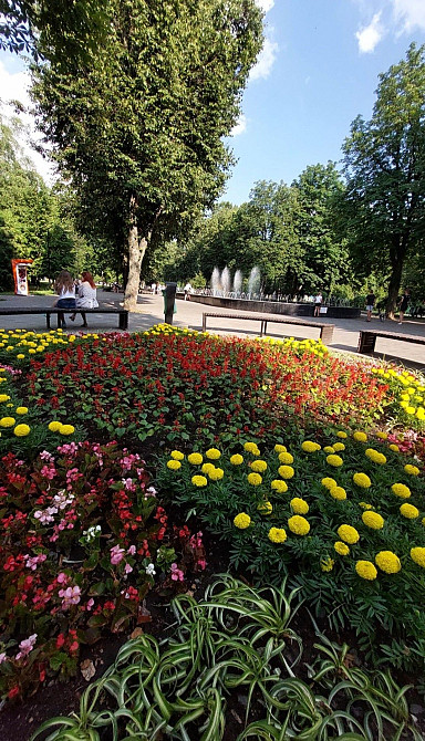 Довгострокова оренда 1-о  кімн. кв., метро Палац Спорту Харків - зображення 1