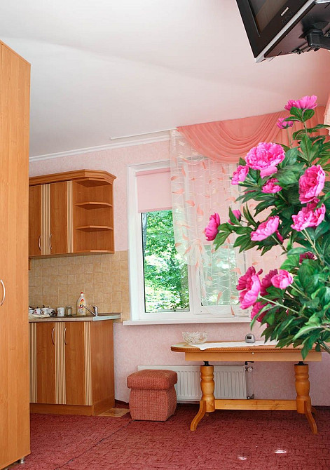 Оренда двох кімнатній квартири Сонячне Закарпаття Ясна Поляна - зображення 6