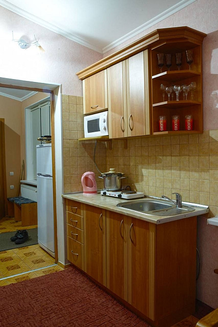 Оренда двох кімнатній квартири Сонячне Закарпаття Ясна Поляна - зображення 3