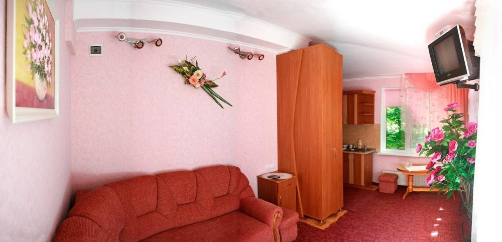 Оренда двох кімнатній квартири Сонячне Закарпаття Ясна Поляна - зображення 2