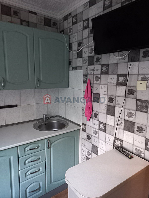 Продам уютную 1-комнатную квартиру на ж/м Приднепровск Днепр - изображение 2