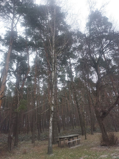 Продаж 2кім вул.Наливайка селище Рудне Львів - зображення 8