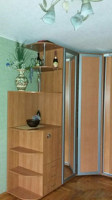 Аренда 1 шка Осипенковский Запорожье - изображение 2