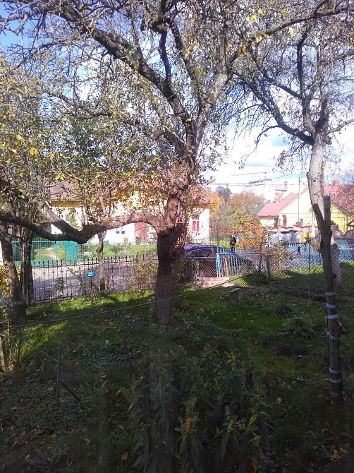 Оренда 2 кімнатної квартири у Самбір по вул. Коперніка (центр) Самбор - изображение 1