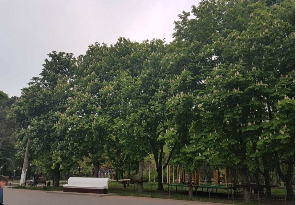 Продам 3-х ком.квартиру на Черемушках возле парка Горького (057-828) Одеса - зображення 4