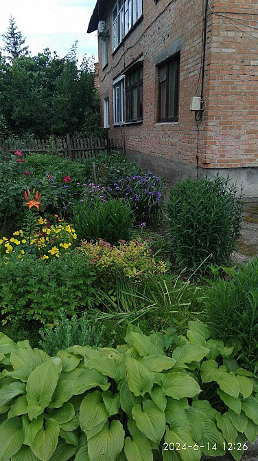 Продаж 3кімнатної квартири з АО в центрі с.Дрозди, Білоцерківський р-н Дроздынь (Ровенская обл.) - изображение 8