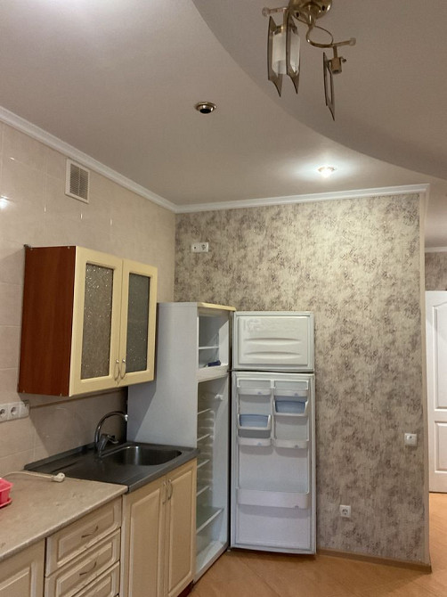 СРОЧНО Евроремонт кухня студ и спальня САХАРОВА/ Заболотного ЖИВОТНЫМИ Одеса - зображення 3