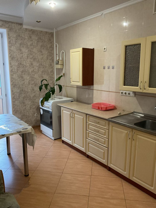 СРОЧНО Евроремонт кухня студ и спальня САХАРОВА/ Заболотного ЖИВОТНЫМИ Одеса - зображення 1