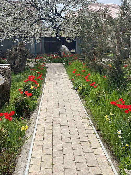 Сдам жильё долгосрочно 5000 грн Ком включены ! Залог 2000 Одеса - зображення 2