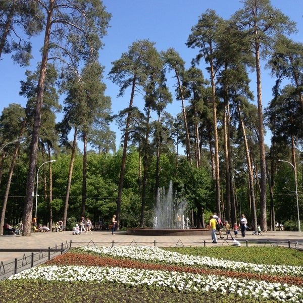 Простора студія біля лісу,метро Бориспільська 5 хв. пішки! Киев - изображение 3