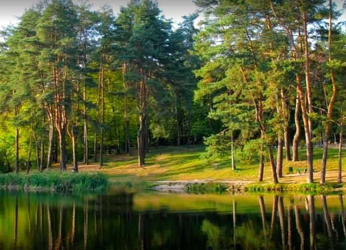 Продам Смарт-квартиру від власника поруч м. Бориспільська пішки 5 хв Киев - изображение 5