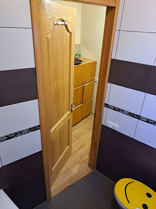 Здам 1к. Центр. Нагорка. Фучіка. Івана Акінфєєва. Парк Шевченко. Дніпро - зображення 5