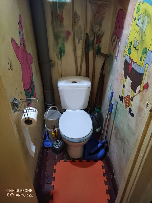 Продам квартиру 2 комнатную Карнаухівка(Дніпропетровська обл.) - зображення 8