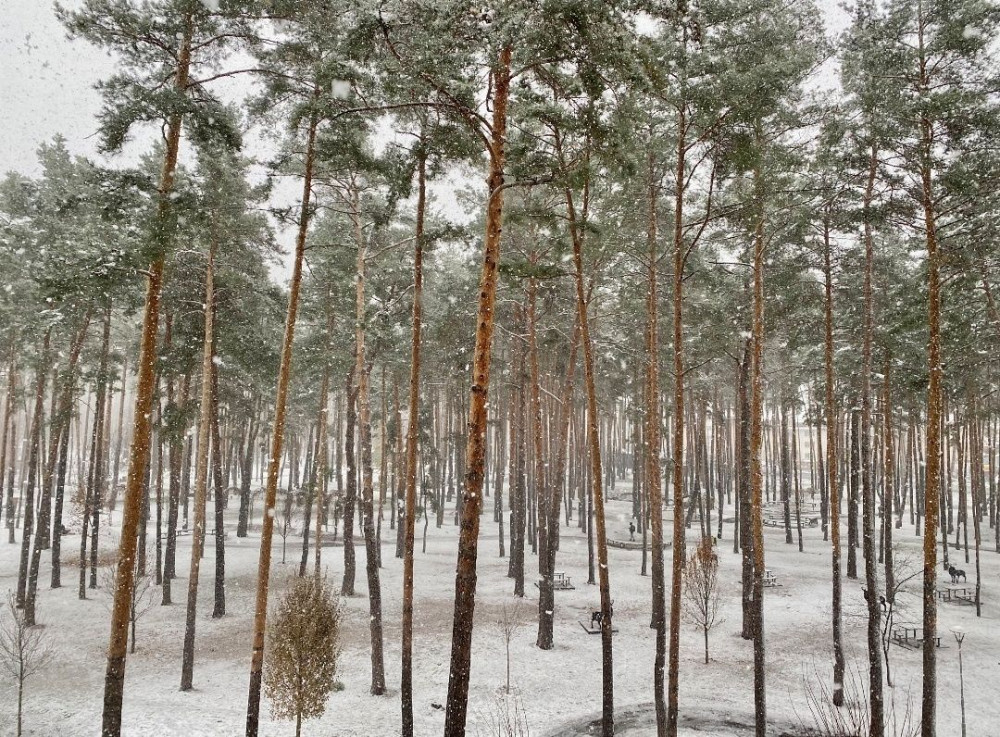 Одна з останніх. Двокімнатна квартира з видом на парк Центральний Ирпень - изображение 3
