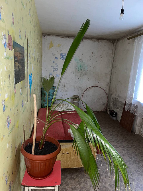 Квартира на Черемушках Кам`янське (Запорізька обл.) - зображення 2