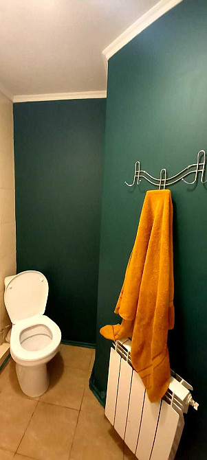 Оренда 1 кімн Святопетрівське, Бомбосховище, ГАз Святопетрівське (Києво-Свят.р-н) - зображення 8