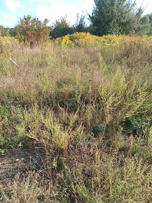 Здам квартиру - таун! Вулиця Повітрофлотська, Жуляни, Київ. Киев - изображение 8