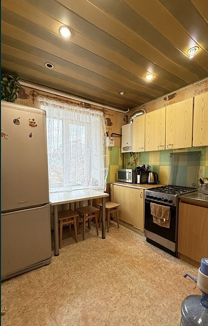 3е Гоголя 19, Центр, небольшое животное обсуждается Дніпро - зображення 4