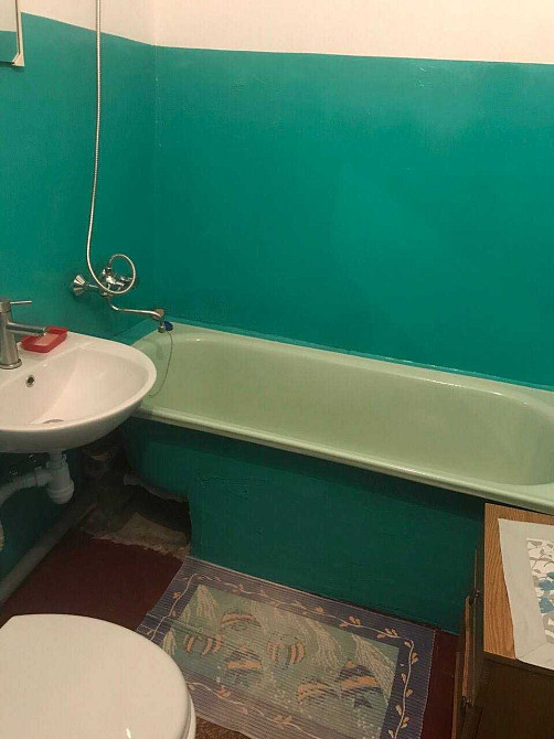 Сдаю 1 к.кв  Богуния Житомир - изображение 4