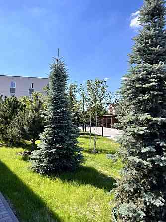 Квартира 31м2 - 20500$! Розтермінування 12міс.! Святопетрівське (Києво-Свят.р-н)