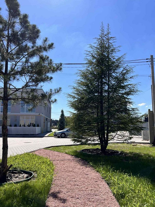 Квартира 31м2 - 20500$! Розтермінування 12міс.! Святопетрівське (Києво-Свят.р-н) - зображення 3