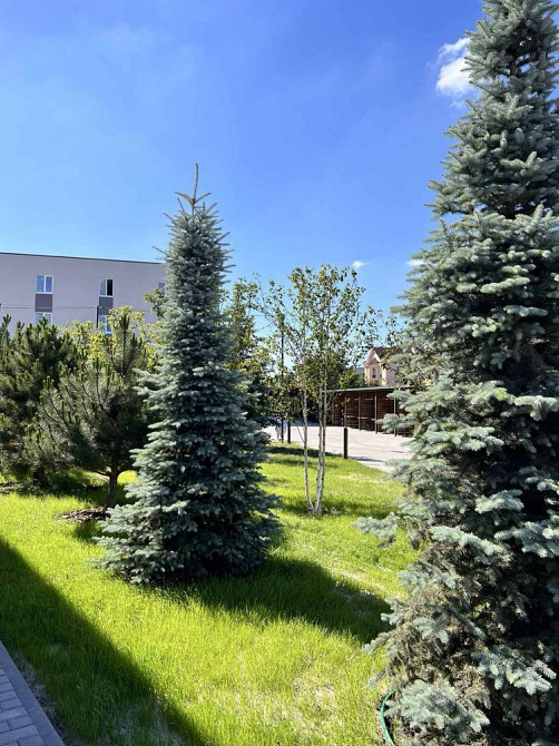 Квартира 31м2 - 20500$! Розтермінування 12міс.! Святопетрівське (Києво-Свят.р-н) - зображення 4