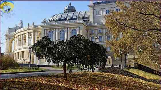 3-х комн. квартира в центре на ул. Базарная Odesa