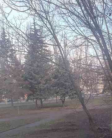 Аренда 1 ком. кв. ул. Комарова Запоріжжя