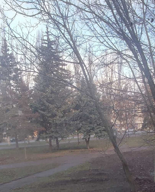 Аренда 1 ком. кв. ул. Комарова Запоріжжя - зображення 6