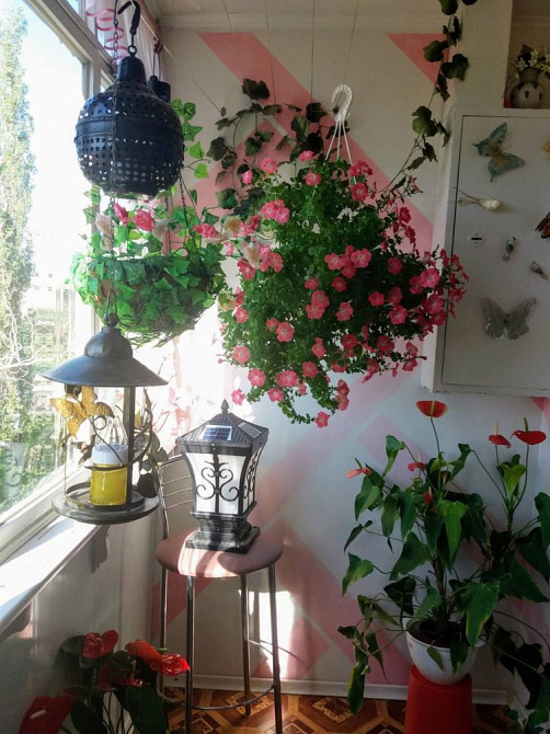 Сдается 3-к квартира Пограничная-Садовая Николаев - изображение 6