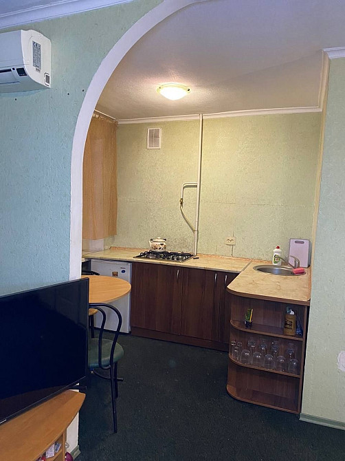 1к пр. Слобожанский,  ост. Воронежская. Можно с маленьким животным. Дніпро - зображення 2