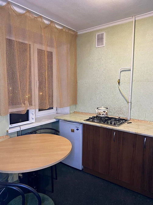 1к пр. Слобожанский,  ост. Воронежская. Можно с маленьким животным. Дніпро - зображення 1