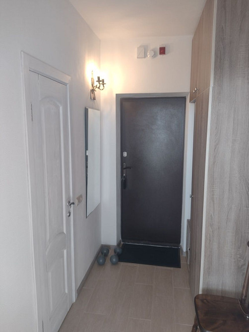 С.Данченко Виноградар Київ - зображення 1