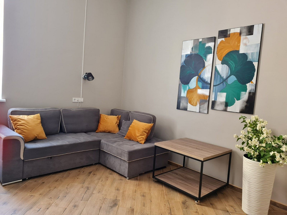 Однокімнатна студія в центрі старого міста від власника Каменец-Подольский - изображение 1