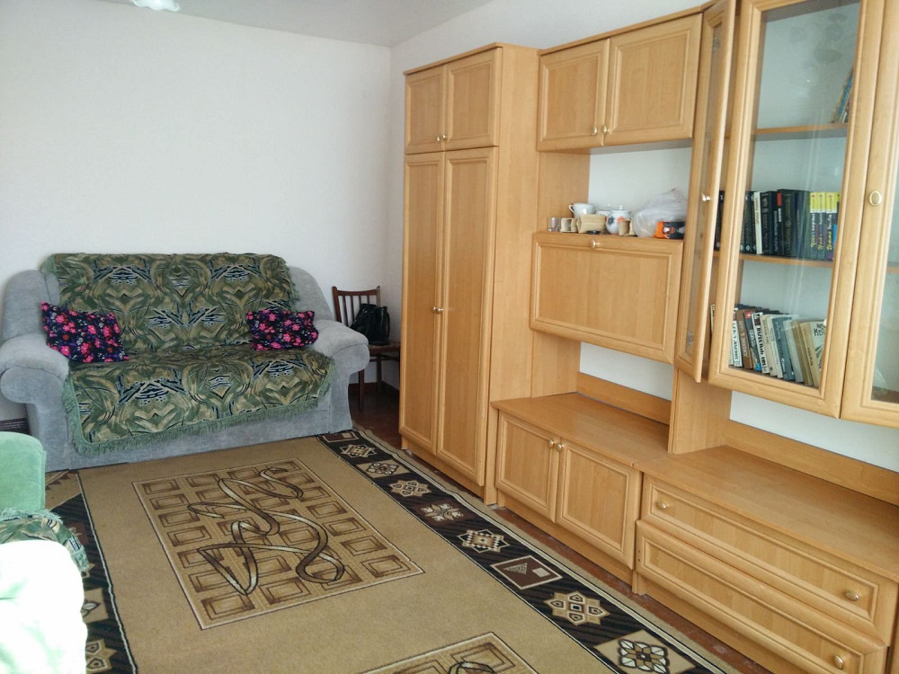 Однокомнатная Николаевка. Кропивницкий - изображение 2